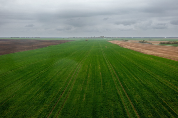 Baisogala ir jos apylinkės, kur planuojama statyti „Rheinmetall“ gamyklą