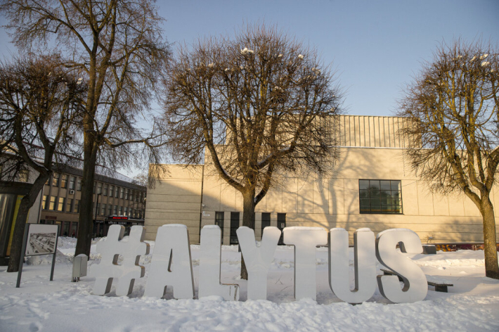 Alytaus miestas žiemos metu