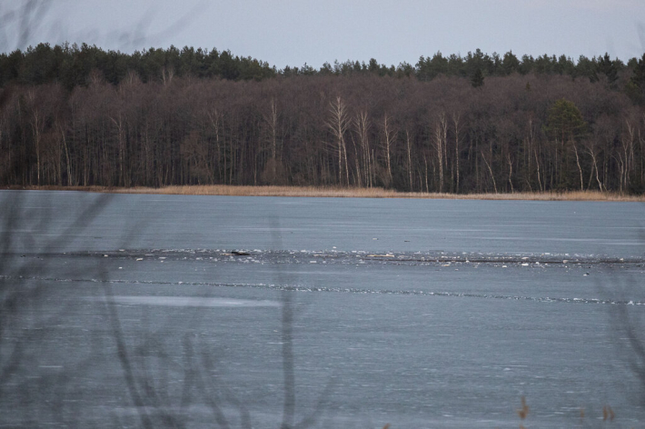Ant Lavyso ežero nukritęs objektas