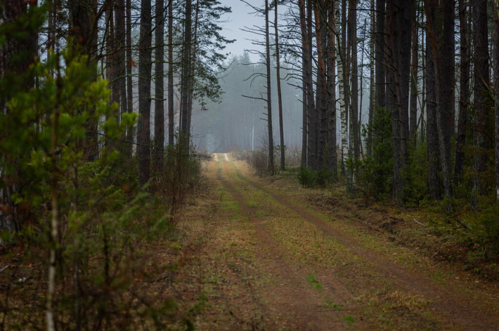 Planuojamo steigti Kapčiamiesčio poligono teritorija