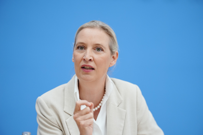 Alice Weidel